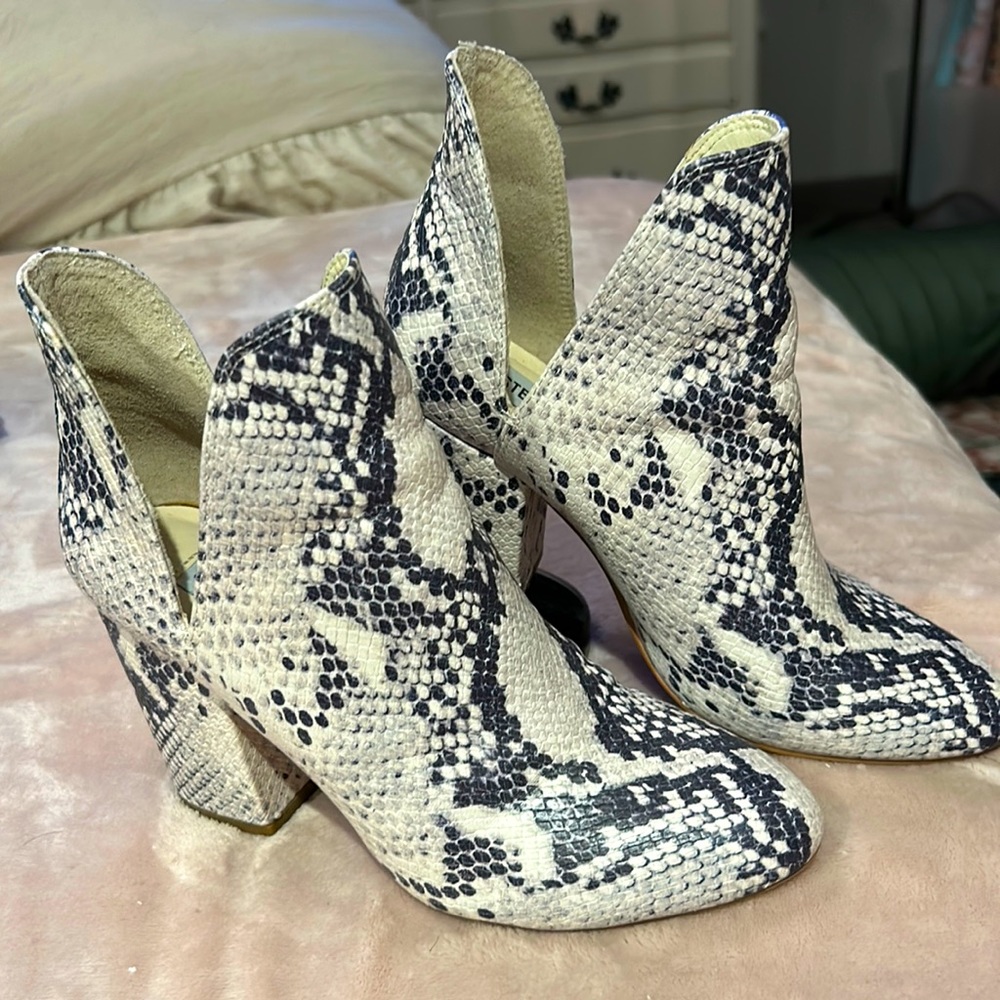 STEVE MADDEN  Snake print ankle booties. Size 5.5